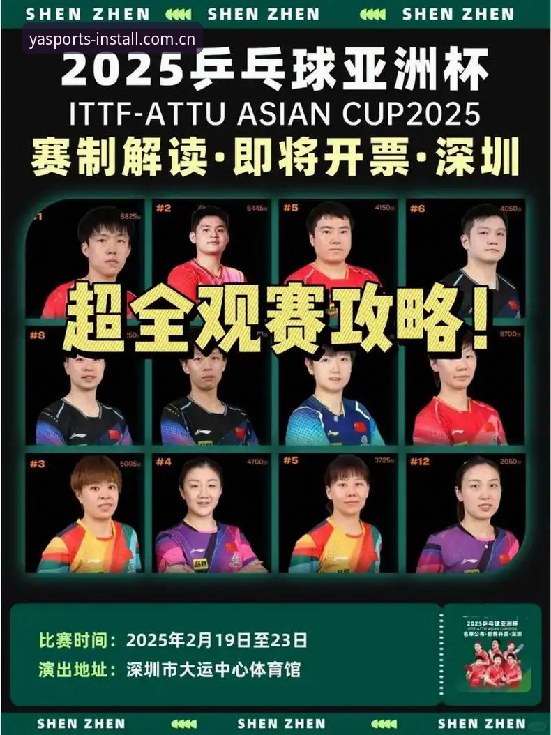 新手必备：亚体育安装平台实用指南，从注册到观赛全流程解析
